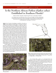 Is the Norlhern African Python (Python sebae) Established in