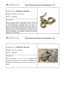 Fichas de Identificación de Serpientes Chilenas Vulnerables