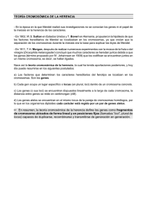 TEORÍA CROMOSÓMICA DE LA HERENCIA L En resumen, la