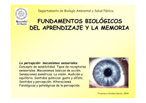 FUNDAMENTOS BIOLÓGICOS DEL APRENDIZAJE Y LA MEMORIA