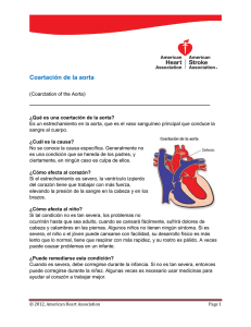 Descargue e imprima versión PDF de esta página.