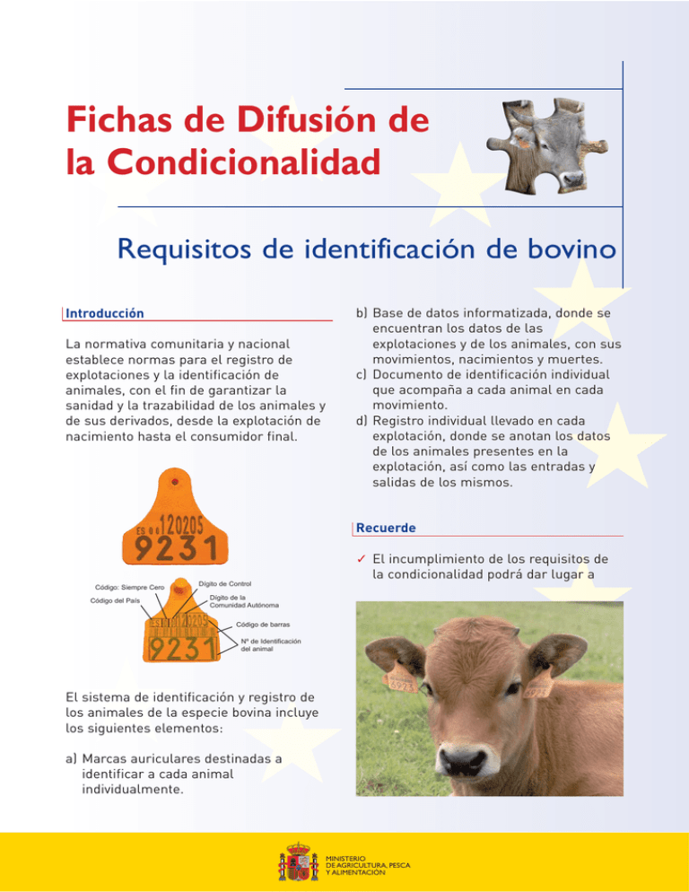 Ficha De Requisitos De Identificación De Bovino.