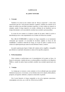 CAPITULO IX EL JOINT VENTURE 1. Concepto También se le