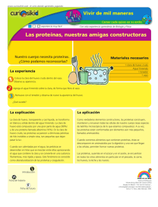 Experimento: Proteínas, Nuestras Amigas Constructoras