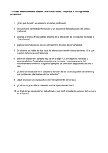Tras leer detenidamente el texto una o más veces