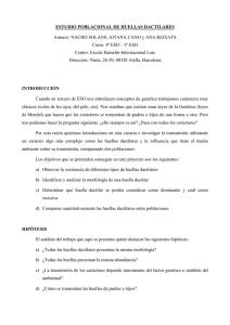 Huellas y genética