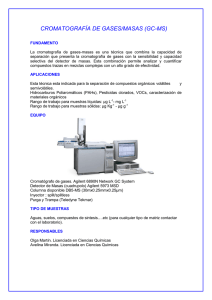 CROMATOGRAFÍA DE GASES/MASAS (GC-MS)