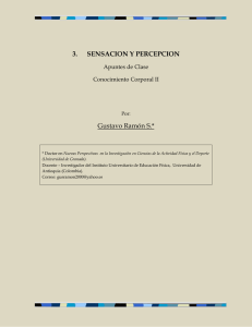 Sensación y percepción - VIREF - VIREF