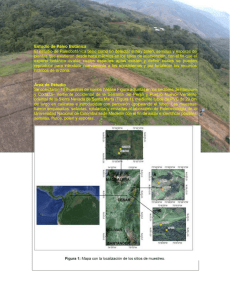 descargar descripcion estudio de paleobotanica.