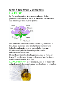 tema 5 nacemos y crecemos LA FLOR: