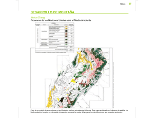 DESARROLLO DE MONTAÑA