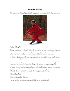 Kung-Fu Wushu