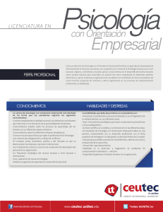 perfil profesional conocimientos habilidades y destrezas