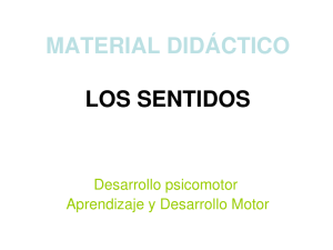 material didáctico los sentidos