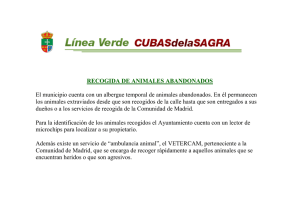 RECOGIDA DE ANIMALES ABANDONADOS El municipio cuenta