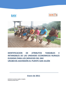 identificacion de atributos tangibles e intangibles de las unidades