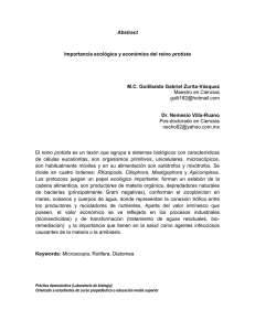 Reino Protista: Importancia Ecológica y Económica