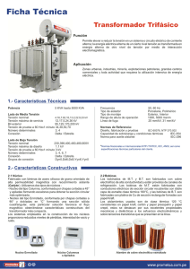 Transformador Trifásico: Ficha Técnica y Especificaciones