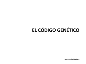EL CÓDIGO GENÉTICO José Luis Toribio Caro