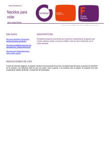 Nacidos para volar