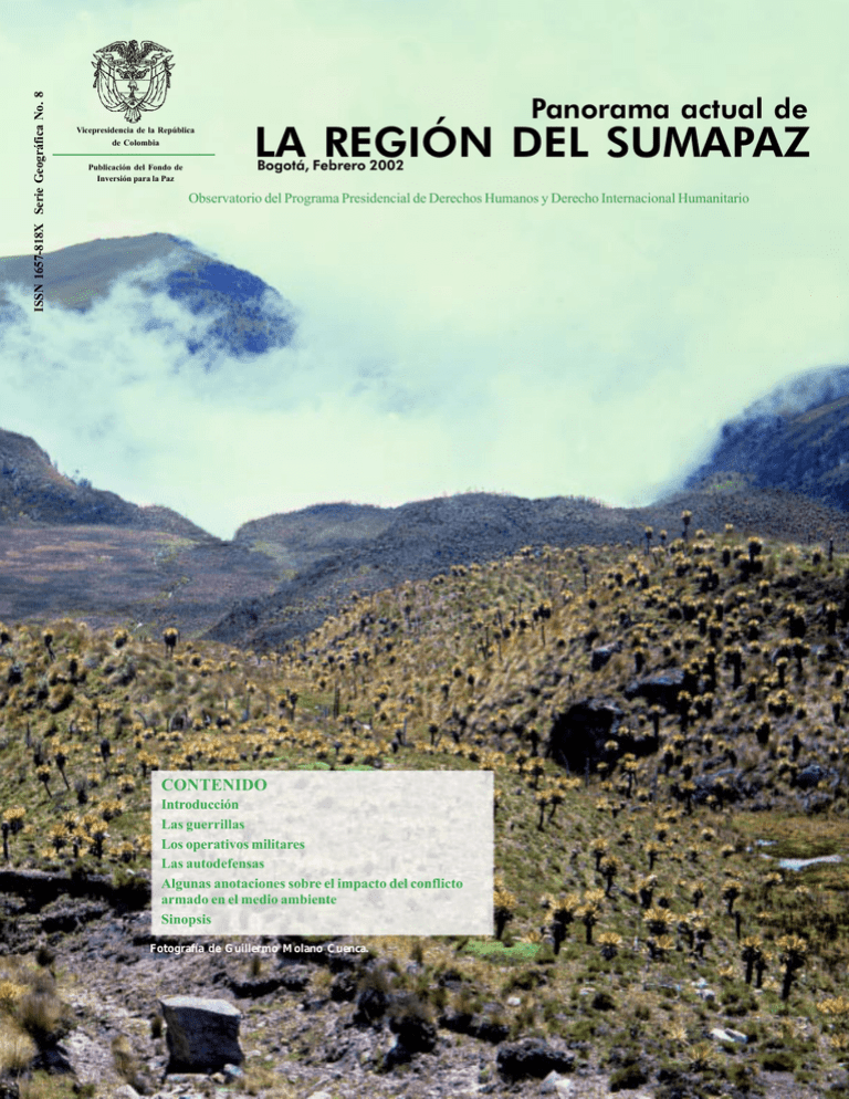Panorama actual de la región del Sumapaz