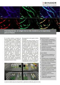 Cianobacterias: el origen de la vida moderna y la