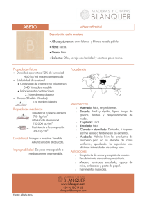 Abies alba Mill. - Maderas y Chapas Blanquer