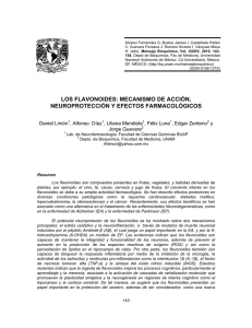 Flavonoides: Neuroprotección y Mecanismo de Acción