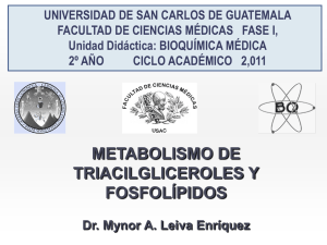 METABOLISMO DE TRIACILGLICEROLES Y FOSFOLÍPIDOS
