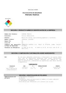 Ficha Seg Trafico