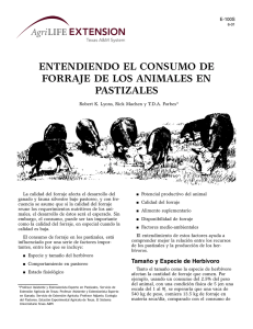 Consumo de Forraje en Pastizales: Factores y Especies