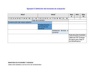 Ejemplo 8: Definición del horizonte de evaluación Año1 Año2 Año 3