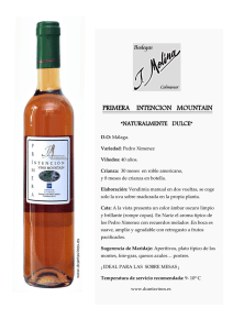 primera intencion mountain