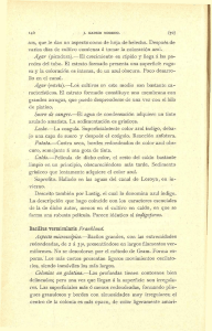 sos,, que le dan un aspecto como de hoja de helécho. Después de