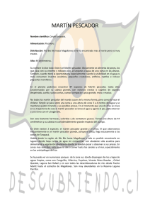martín pescador