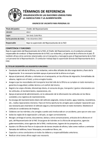 TÉRMINOS DE REFERENCIA