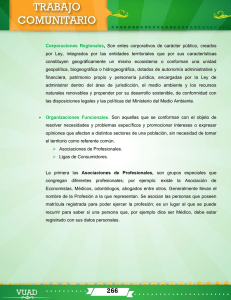 Corporaciones Regionales, Son entes corporativos de