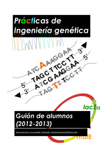 Guión en pdf