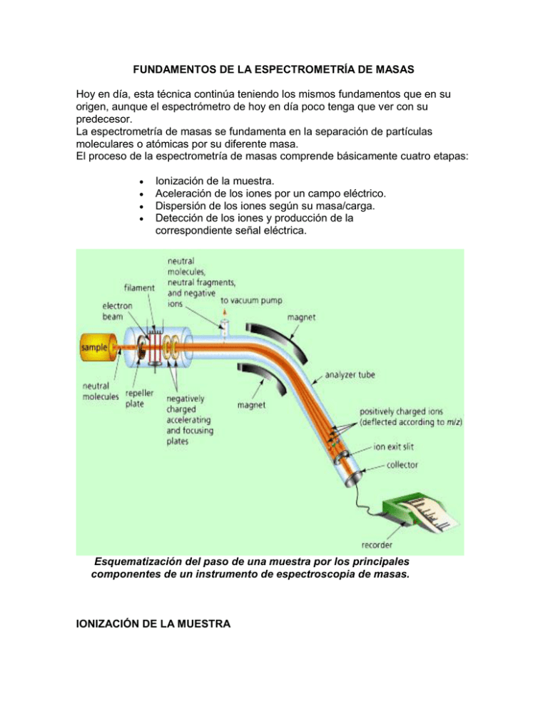 Espectrometria De Masas – Espectrometría de masas en los laboratorios ...