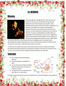 LA NEURONA Historia Concepto
