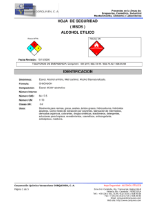 SDS de Alcohol Etílico: Hoja de Seguridad e Información Química