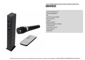 216873 TORRE IWOWN KARAOKE ROMA 20W RADIO USB/SD