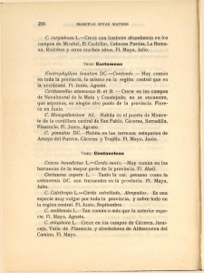 256 C. corymbosa L.—Crece con bastante abundancia en los
