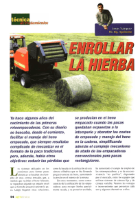 Consejos para enrollar correctamente la hierba