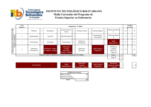 Malla Curricular Técnico Superior en Enfermería ITB