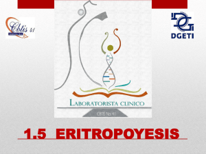 Eritropoyesis: Maduración y Anomalías de los Eritrocitos
