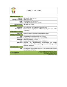 Curriculum Vitae - Dip. Ricardo Yánez Herrera