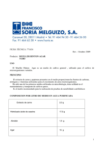 1 FICHA TÉCNICA: 771634 Rev. : Octubre /2009 Producto