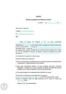 Solicitud Expediente Ad Effectum Videndi - Modelo Legal