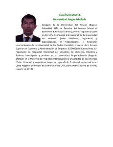 Luis Ángel Madrid - Centro de Derecho Económico Internacional-ITAM